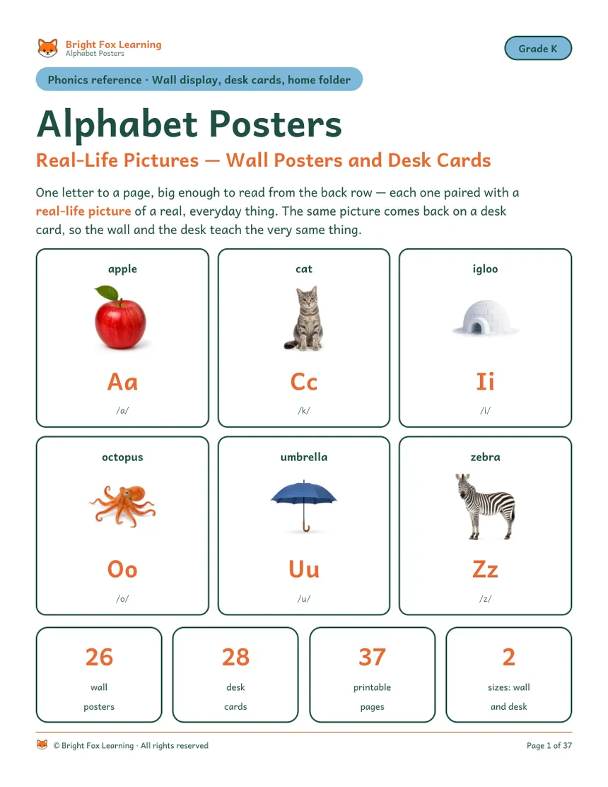 The cover: Alphabet Posters, Real-Life Pictures, showing apple, cat, igloo, octopus, umbrella, zebra, and the counts 26 posters, 28 cards, 37 pages, 2 sizes.