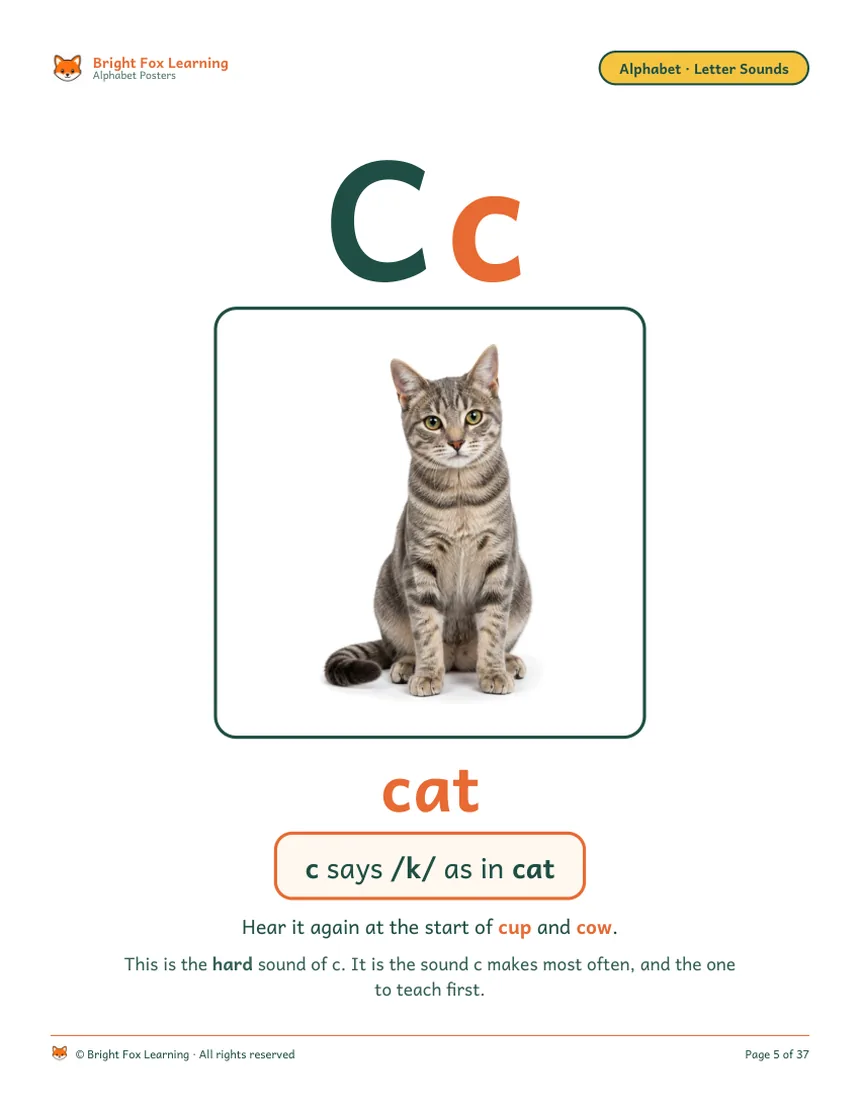 The Cc poster: a real cat on white, the word cat, and 'c says /k/ as in cat — this is the hard sound of c, the one to teach first.'