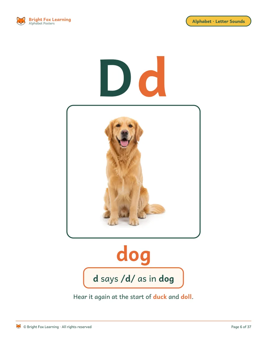 The Dd poster: a real golden retriever on white, the word dog, and 'd says /d/ as in dog.'