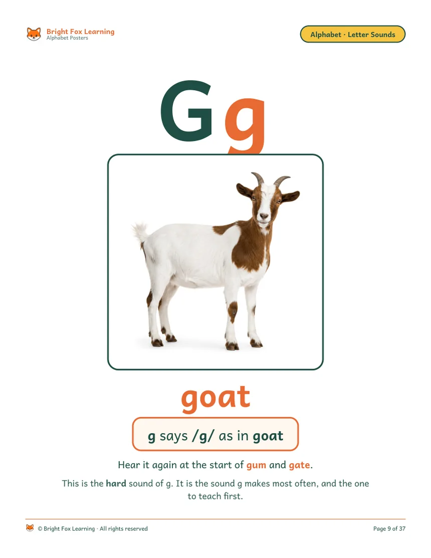 The Gg poster: a real goat on white, the word goat, and 'g says /g/ as in goat — this is the hard sound of g, the one to teach first.'